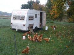 Camping Trailer Chicken Coop