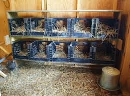 Egg Crate Nest Boxes