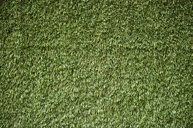 Artificial Grass For Nest Box