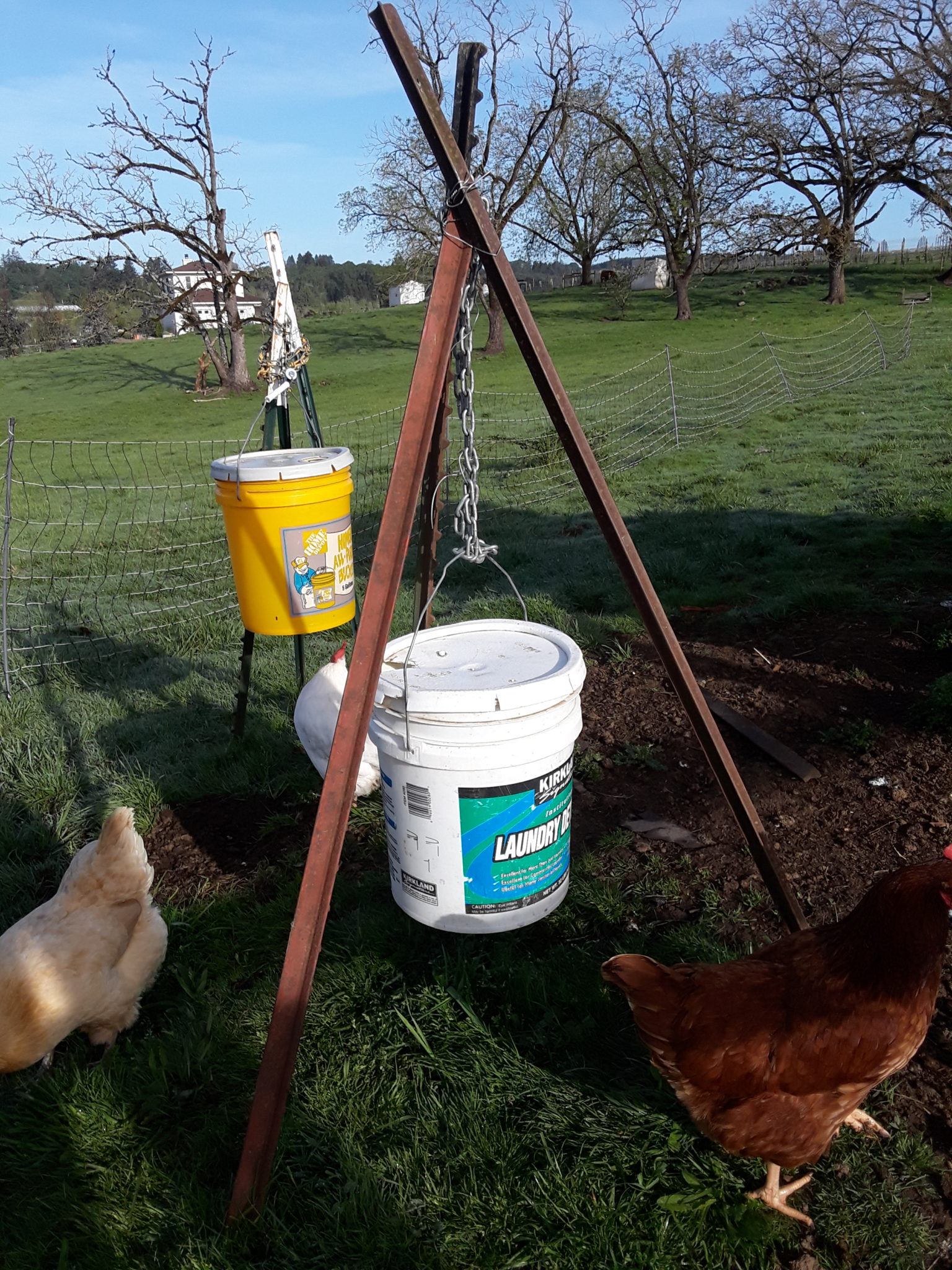 Chicken Waterer Nipples Free Chicken Coop Plans