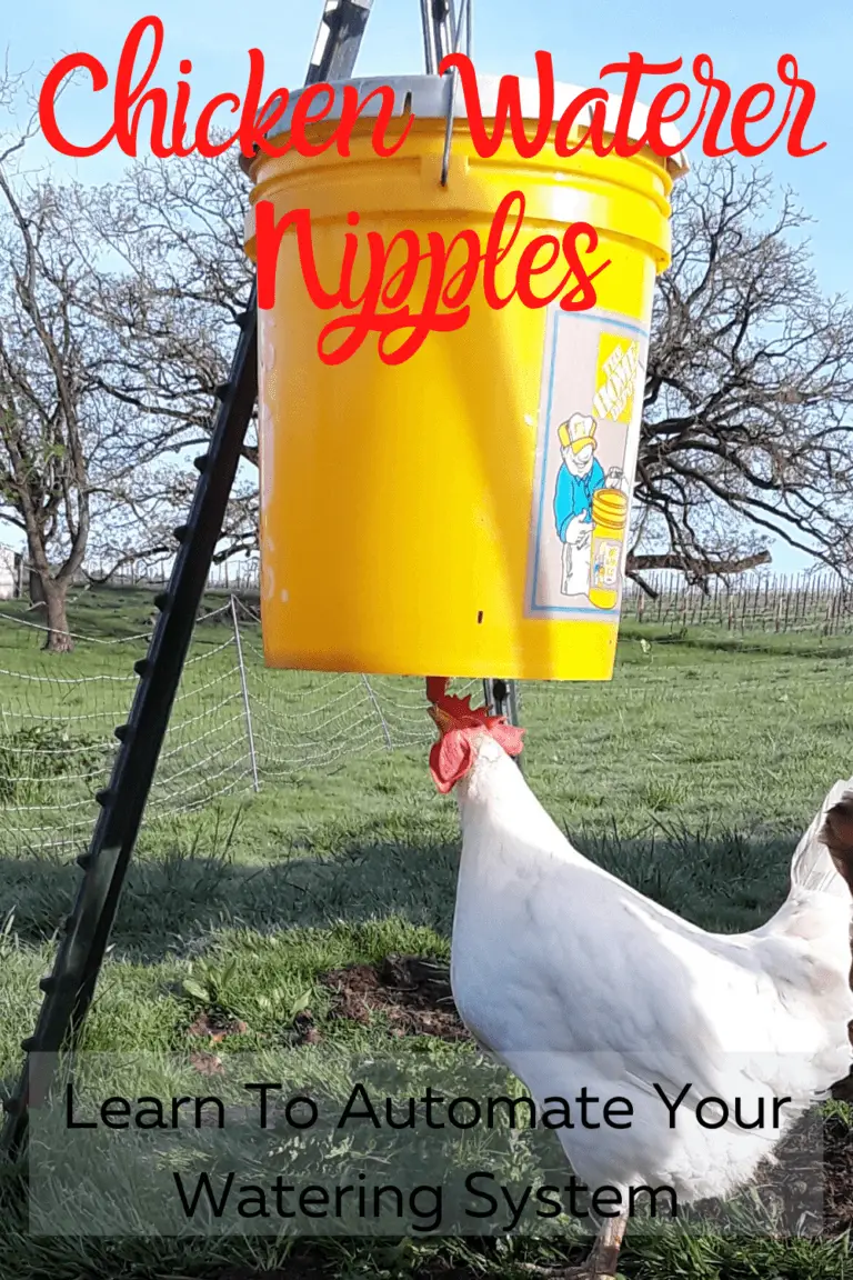 Chicken Waterer Nipples - Free Chicken Coop Plans