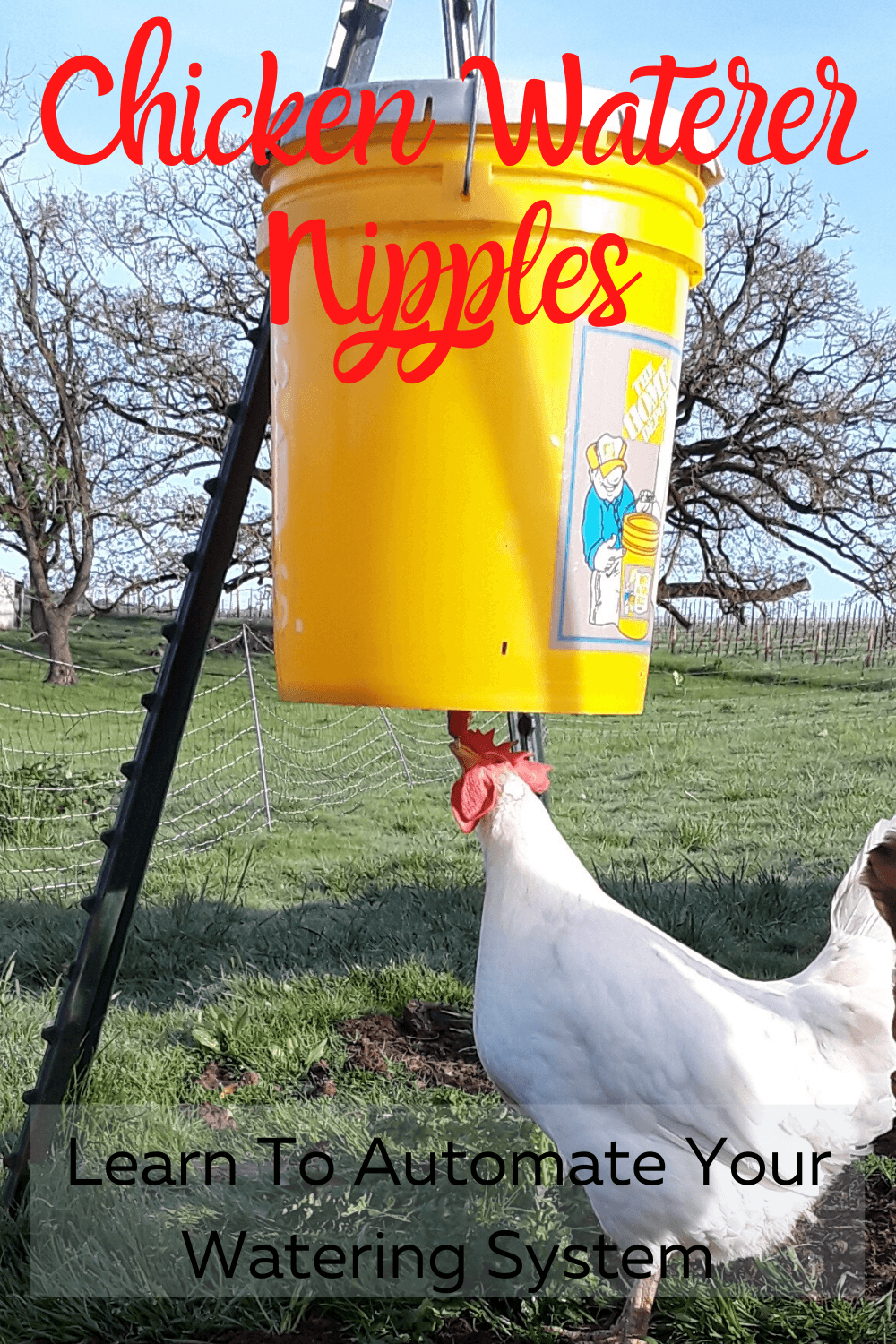 Chicken Waterer Nipples Free Chicken Coop Plans