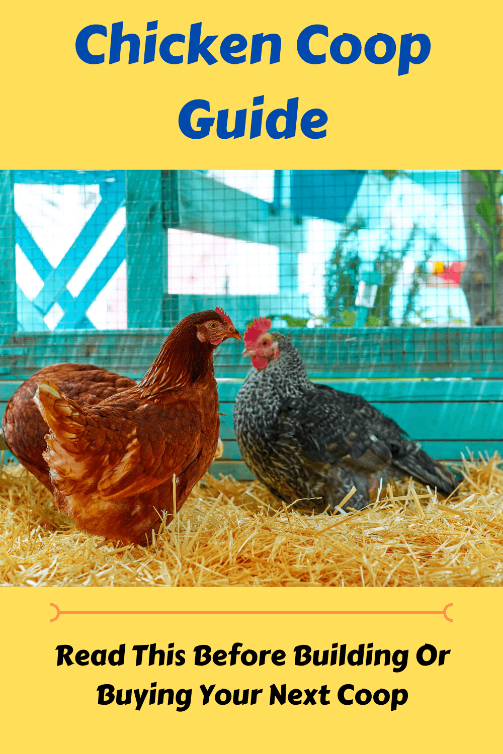 Chicken Coop Guide Read This Before Building Or Buying Your Coop