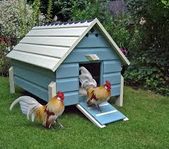 Chicken Coop Sale