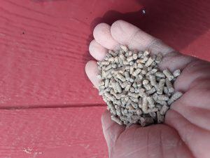 Chicken Feed Pellets