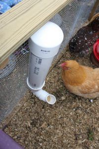 PVC Chicken Feeder