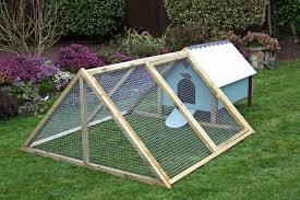 Coop For Laying Hens