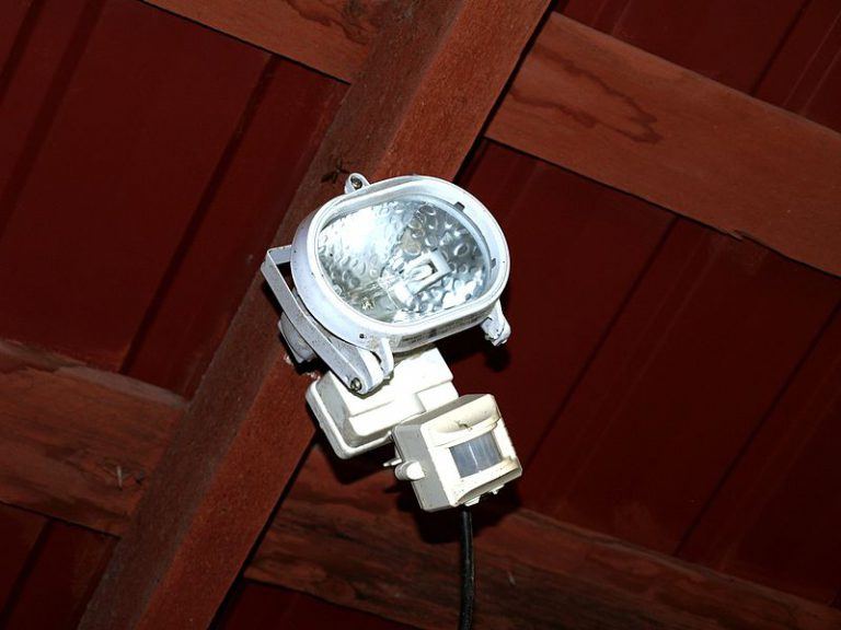 motion sensor light Free Chicken Coop Plans