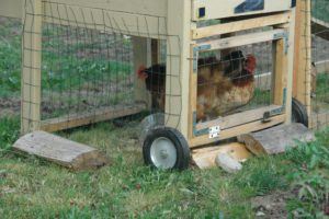 Chicken Coop Wheels