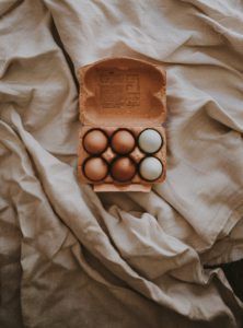 Eggs Refrigerator