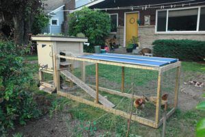 Chicken Tractor