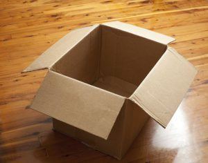 Cardboard Box For Brooder