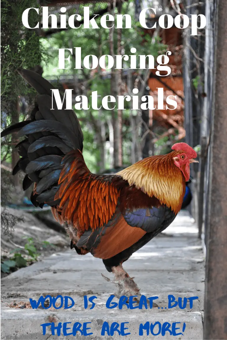 Bamboo flooring for a chicken coop