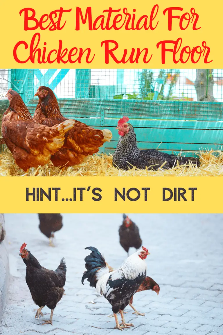Chicken Run Floor Materials Free Chicken Coop Plans