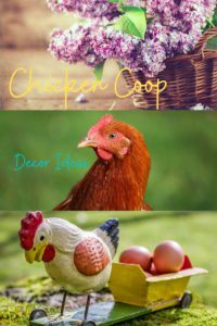 Chicken Coop Decor Ideas
