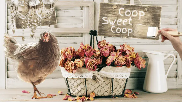 chicken coop decor ideas