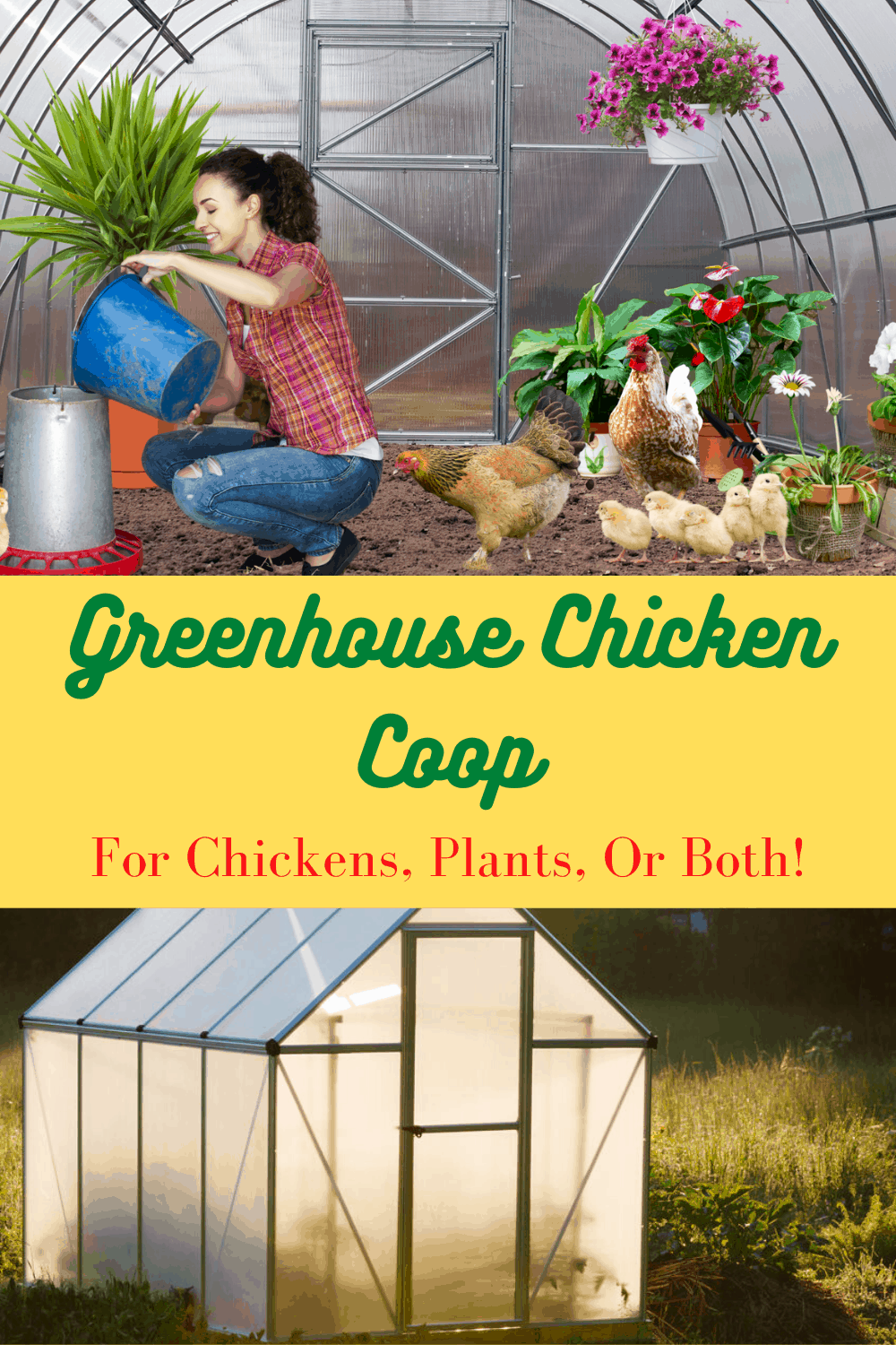 Greenhouse Chicken Coop A Dual Purpose Option Free Chicken Coop Plans