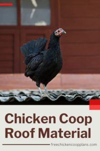 Chicken Coop Roofing Ideas