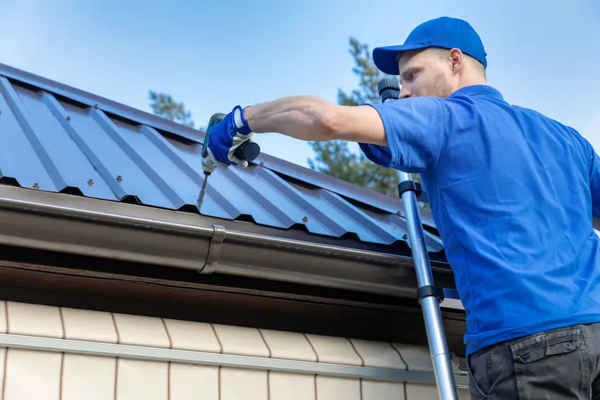 chicken coop roof ideas