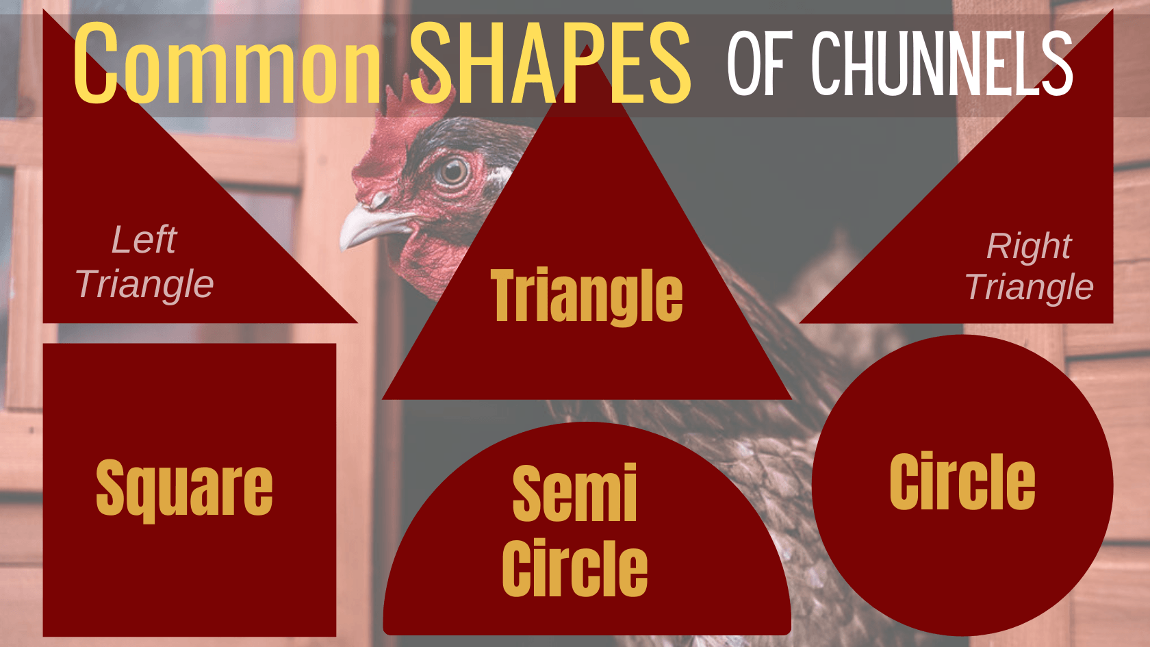 chunnel shapes