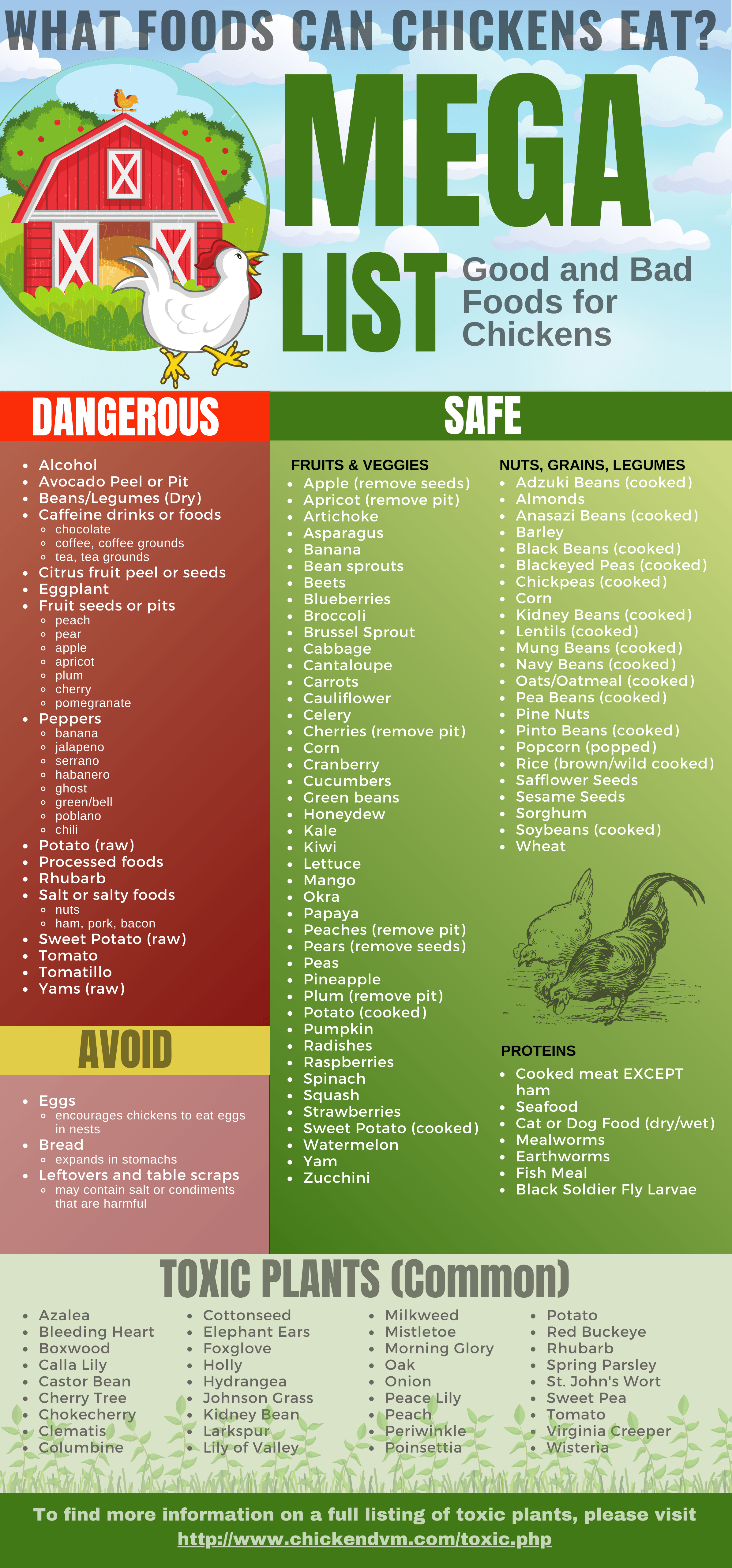 What foods are safe for chickens to eat