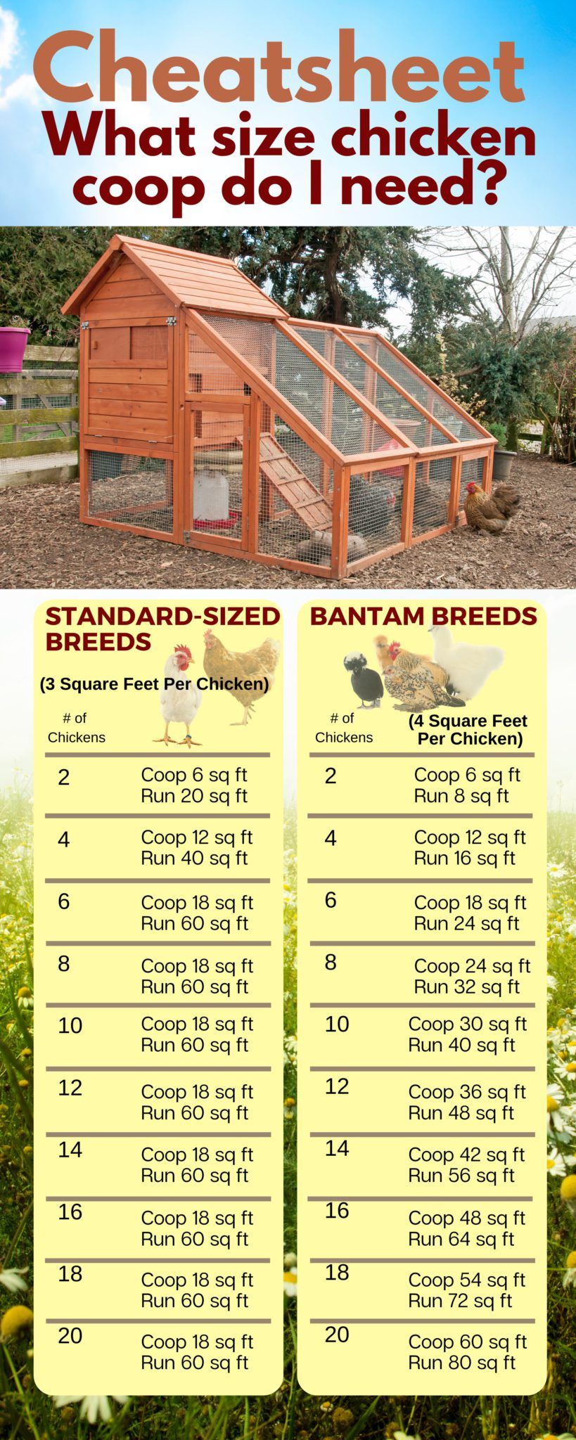 Op Size Chart