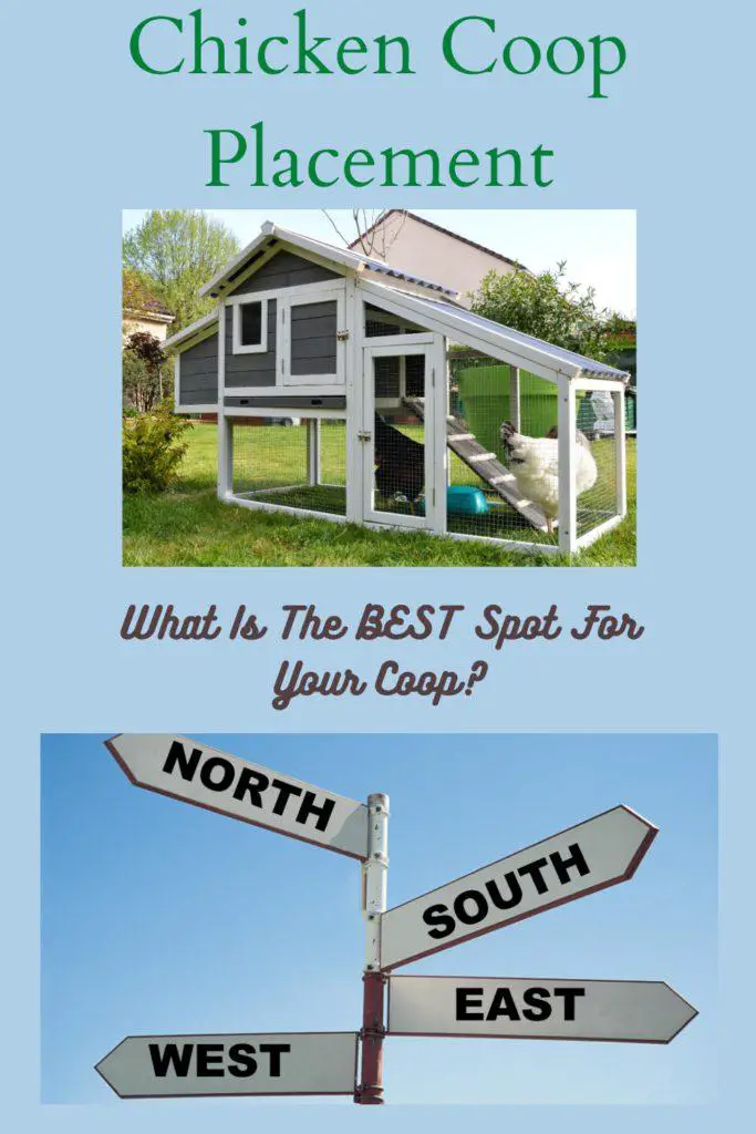 Chicken Coop Placement What You Need To Know Free Chicken Coop Plans