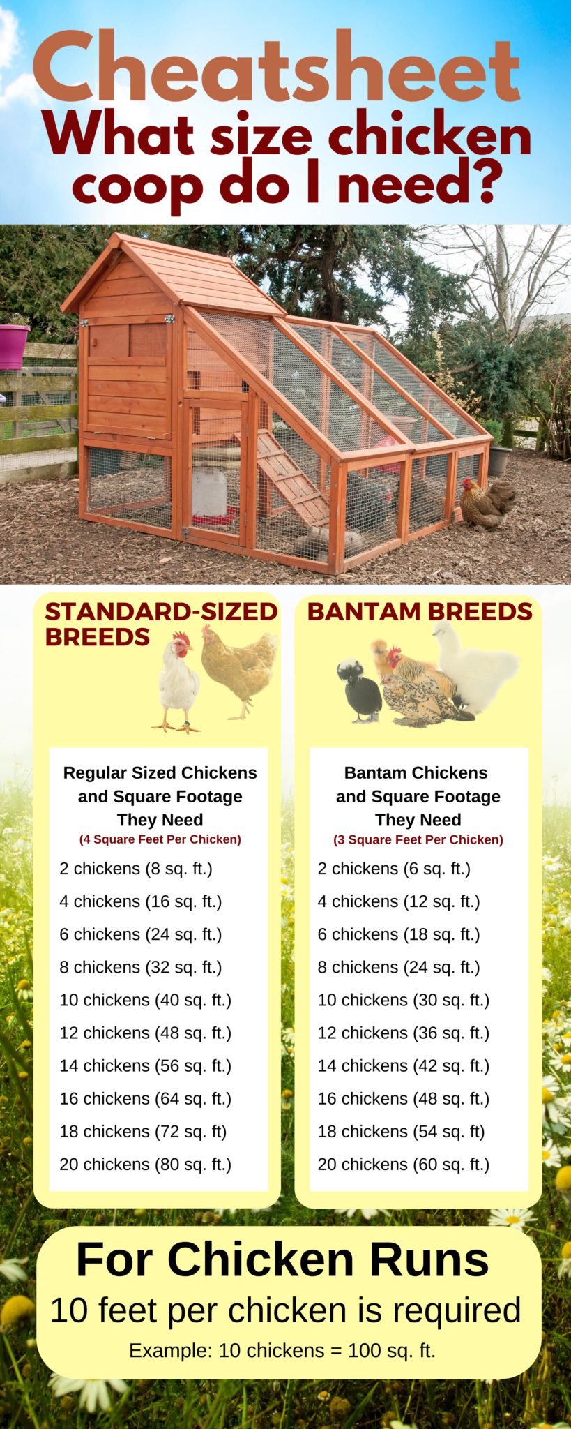 FREE 4×8 Chicken Coop Plan For Up To 16 Chickens! Free Chicken Coop Plans