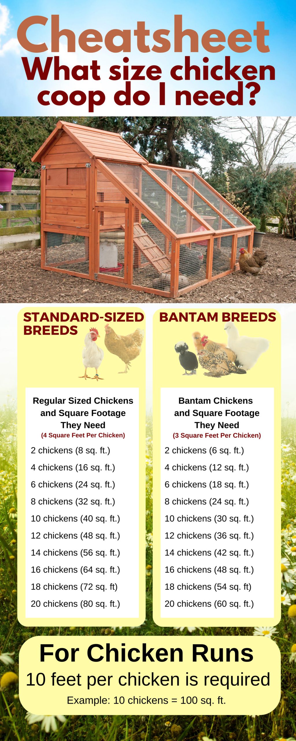 chicken math coop run space calculator