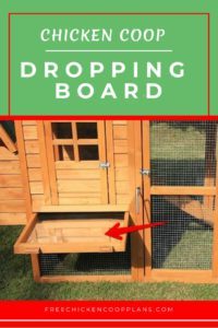 chicken coop droppings board