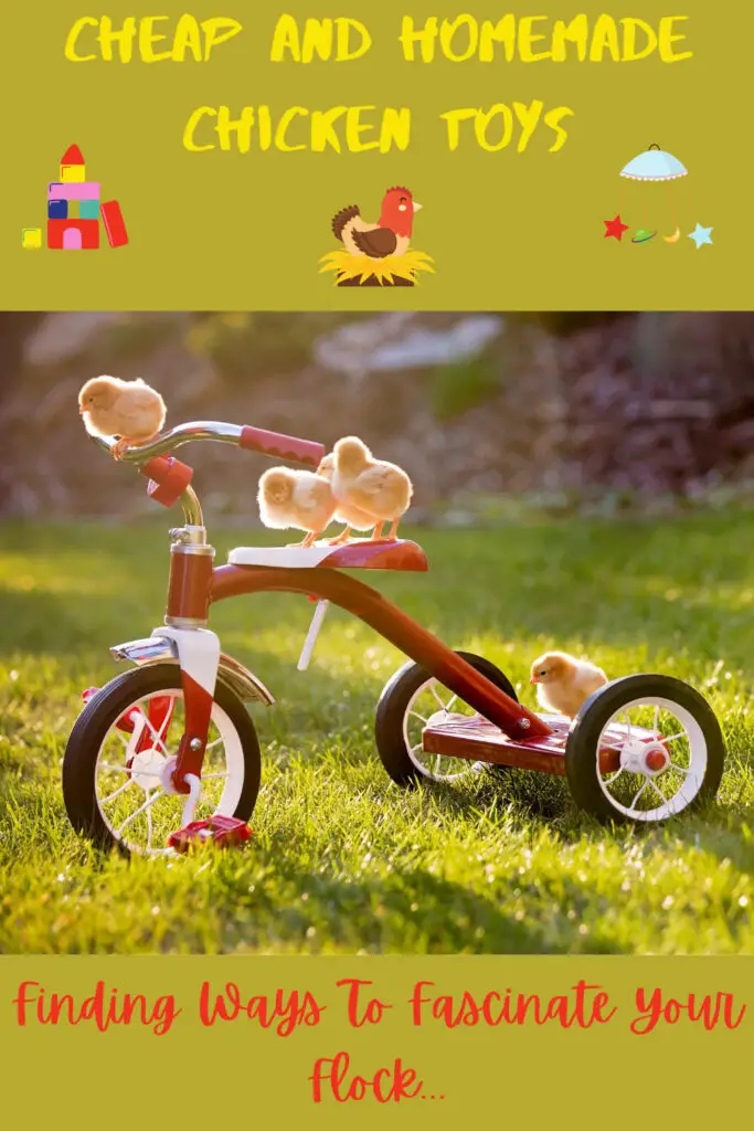Cheap And Homemade Chicken Toys To Fascinate Your Flock Free Chicken