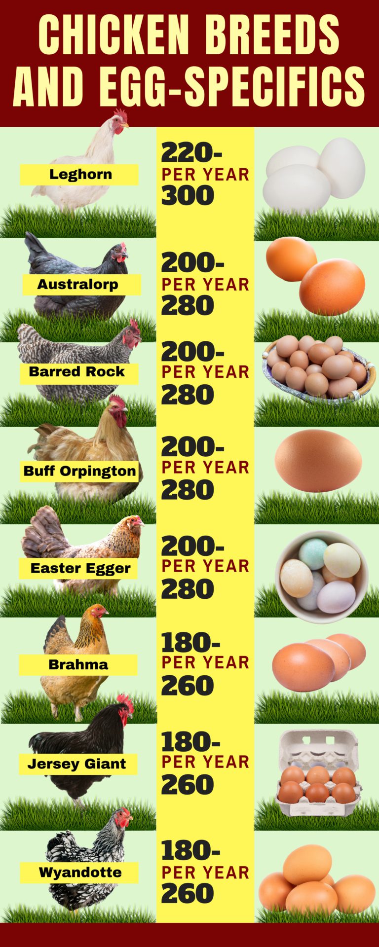 Selling Eggs For Profit A Comprehensive Look Free Chicken Coop Plans