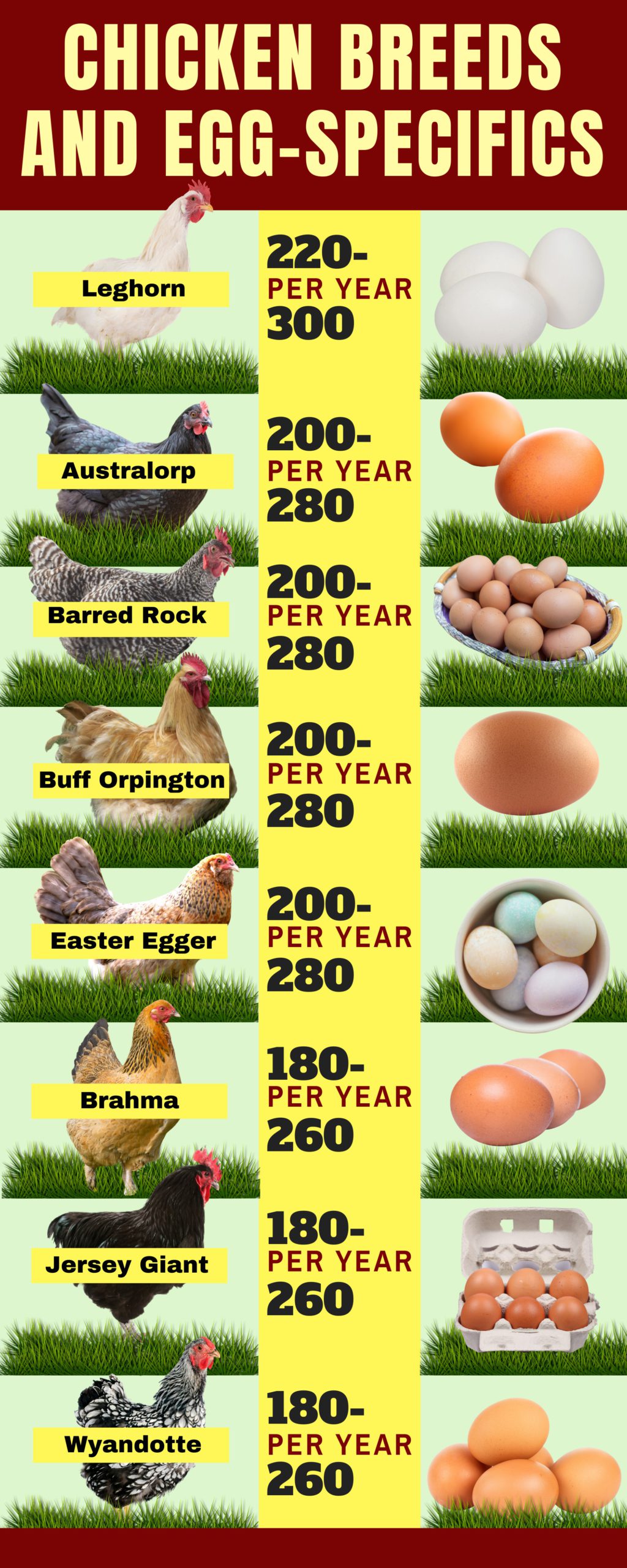 how to sell chicken eggs profit