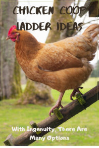 chicken coop ladder ideas