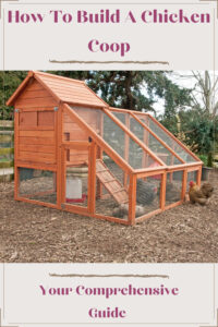 How To build a chicken coop