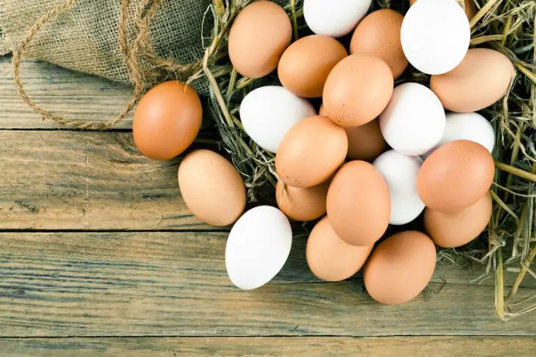 Washing chicken eggs