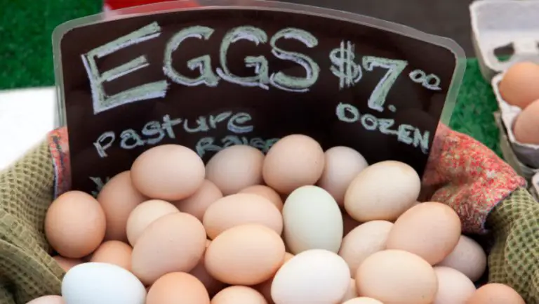 business plan for selling eggs