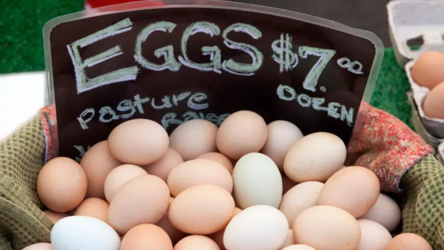 Sell eggs from home