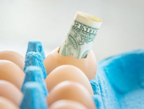 selling eggs for profit