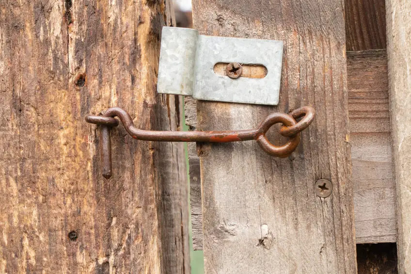 chicken coop latches