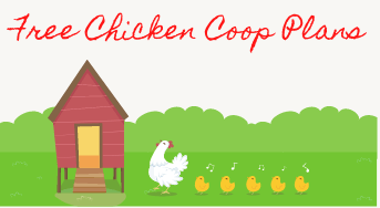 Free Chicken Coop Plans