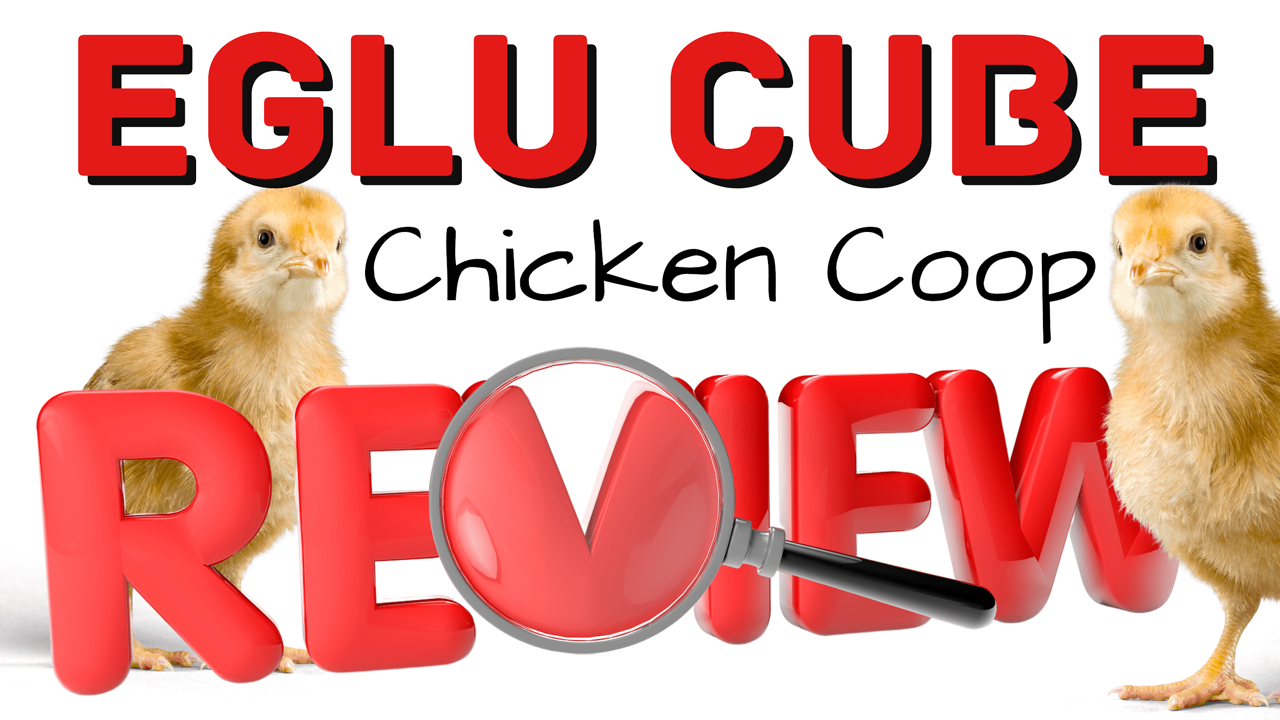 eglu cube chicken coop review