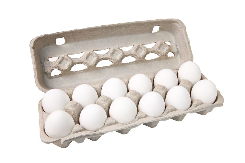 free range vs commercial eggs