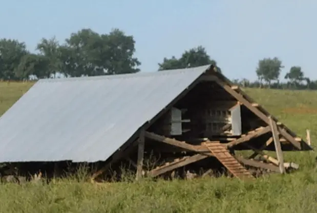 health benefits of pastured poultry