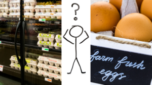 free range vs store bought eggs