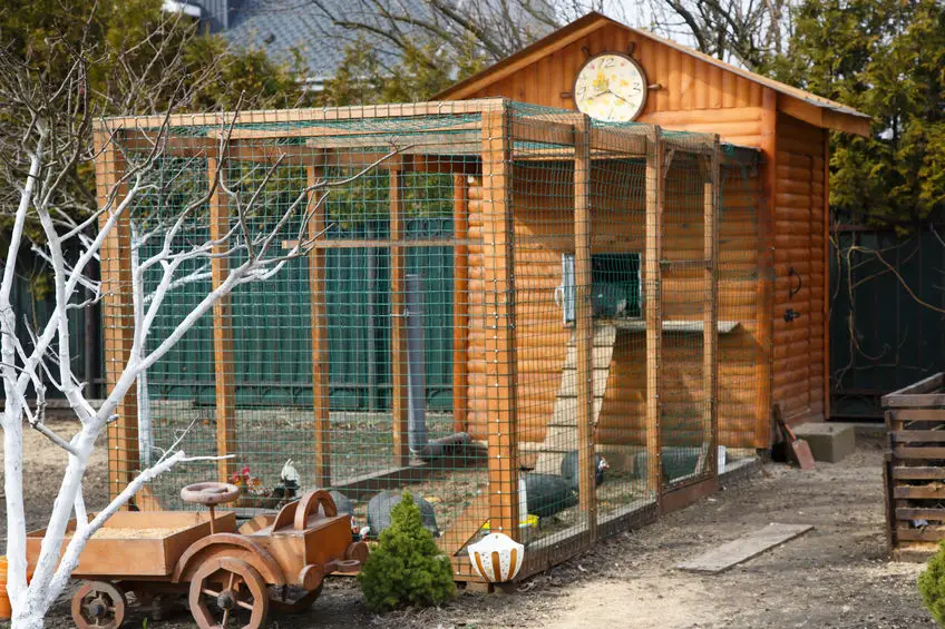 chicken coop conversion