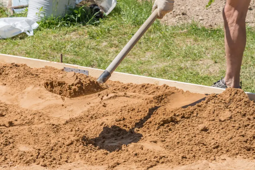 where to buy sand for chickens