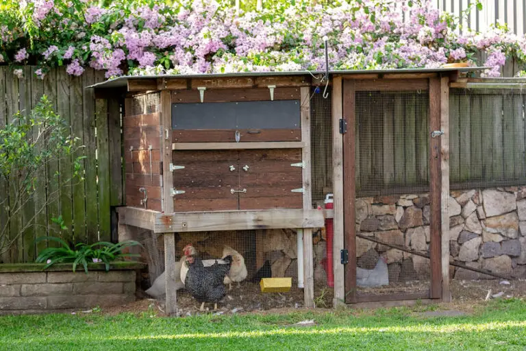 Does a chicken coop need to be off the ground?