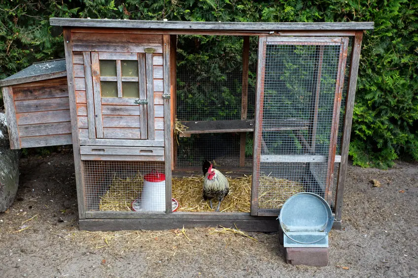 lean chicken coop plans